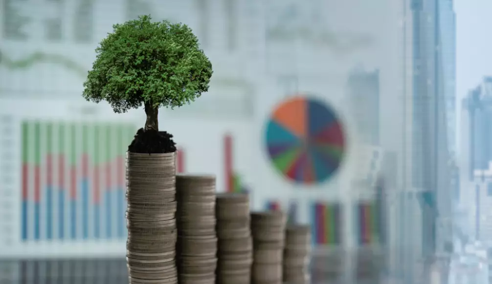 Climate & Health Investment Opportunity Primer